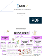 Sistema Nervioso Cua 107219 Downloadable 5018098