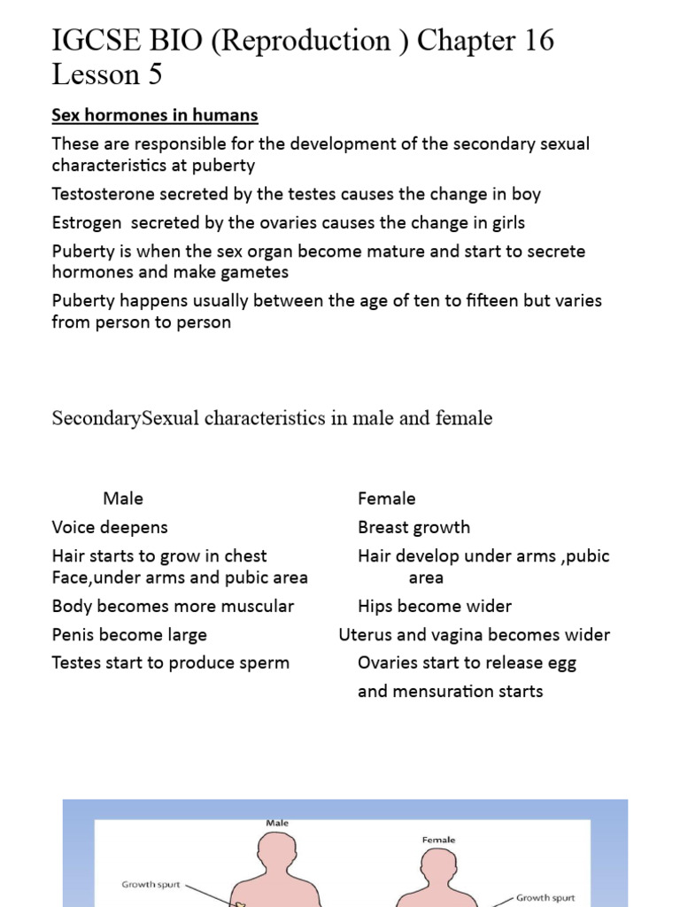 Reproduction Lesson 5 | PDF | Menstrual Cycle | Luteinizing Hormone