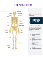 PORTAFOLIO