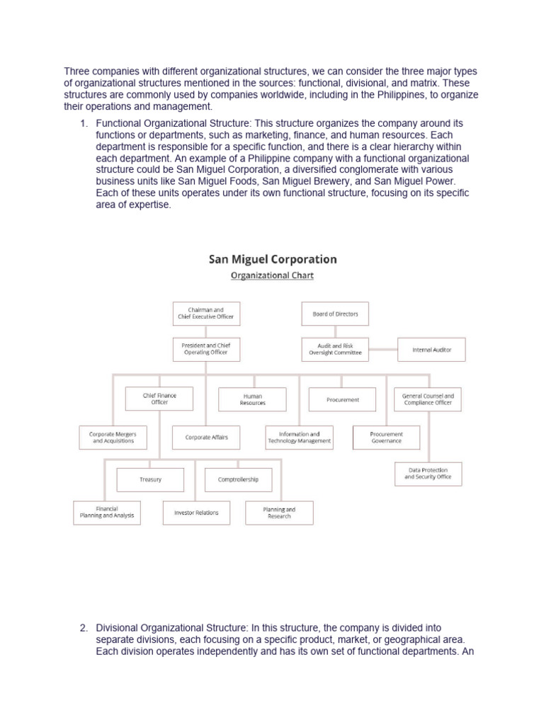 Org Structure 2 | PDF | Organizational Structure | San Miguel Corporation