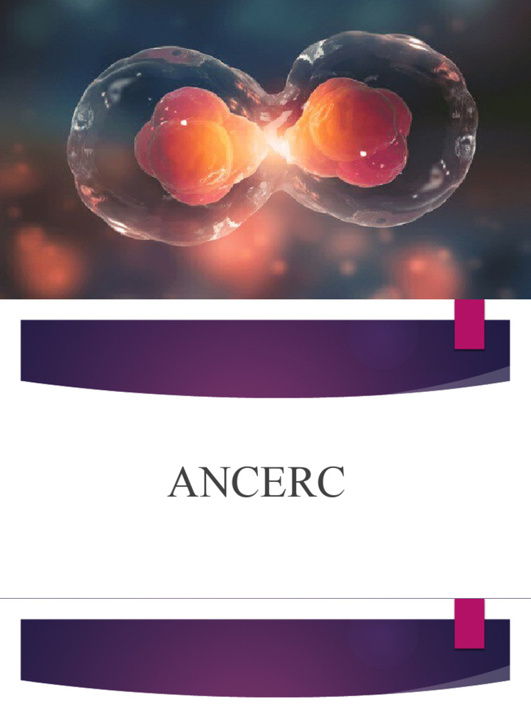 Understanding Cancer Cell Division | PDF | Metastasis | Angiogenesis
