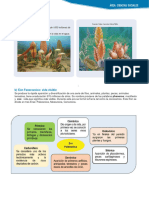 A) Eón Precámbrico o Criptozóico: Formación de La Tierra