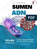 Adn Idm 1