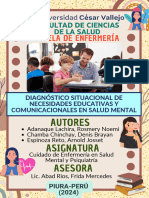 Diagnóstico Situacional de Necesidades Educativas y Comunicacionales en Salud Mental