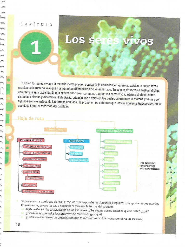 libro de ciencias naturales 4 grado pdf 2024 panama