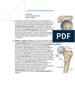 2. Osteologia MMII