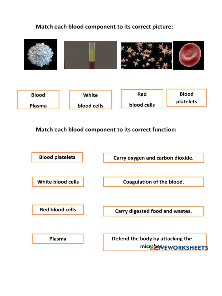 Blood Component | PDF