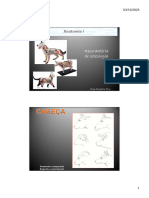 Recordatoria de osteologia