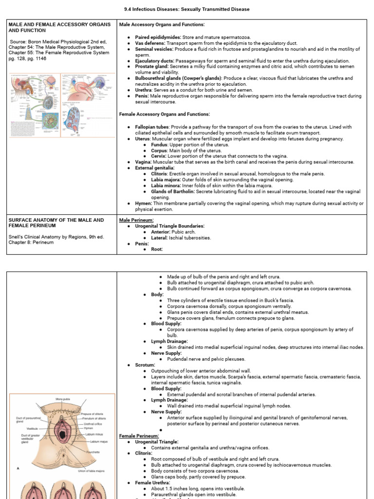 9.4 Infectious Diseases - Sexually Transmitted Disease | PDF | Sexually ...