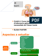 Aparell Respiratori. Anatomia