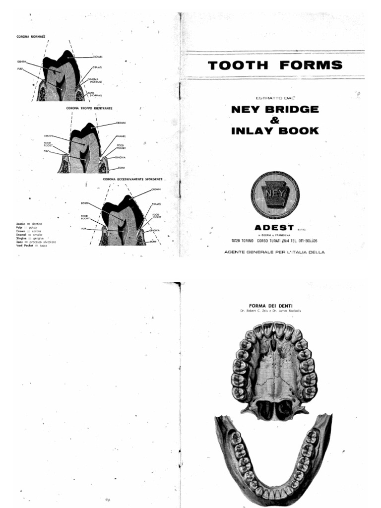 Tooth form pdf