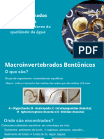 Macroinvertebrados Bentônicos