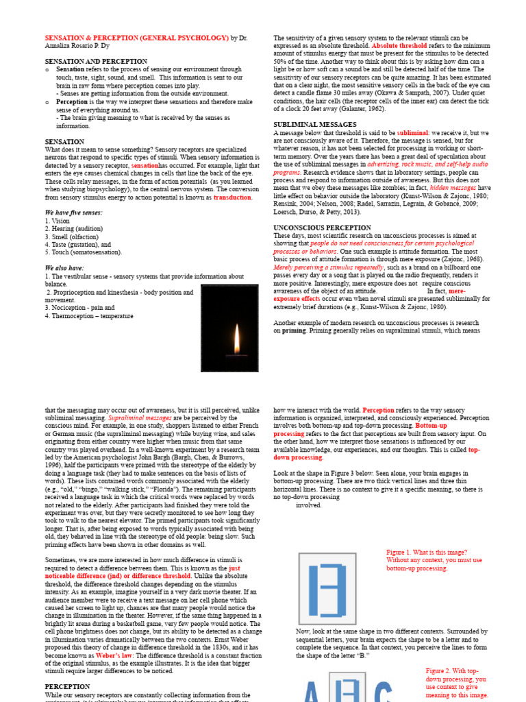 WHAT IS SENSATION IN PSYCHOLOGY PDF visual data 2