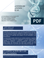 Clasificacion de Las Mutaciones Geneticas