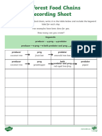 Rainforest Food Chains Recording Sheet