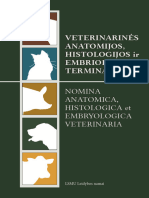 Lotynų Anatomijos, Embriologijos, Histologijos Terminai