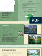 Portafolio 2 - Individuo y Ambiente (1)