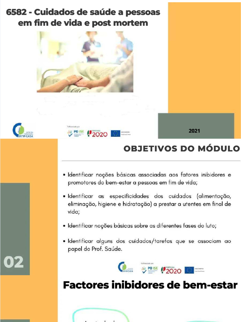 PDF 6582 Cuidados de Saude A Pessoas em Fim de Vida e Post Mortem ...