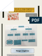Cómo Calcular El Riesgo Litogénico A Través Del Sedimento Urinario