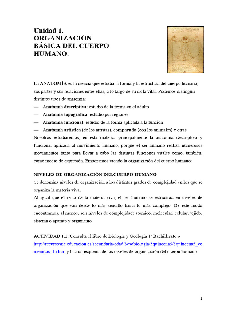 Unidad 1 Organizaci N Cuerpo Humano | PDF | Términos anatómicos de ...