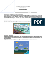 Taller Ciclosbiogeoquimicos 7 B