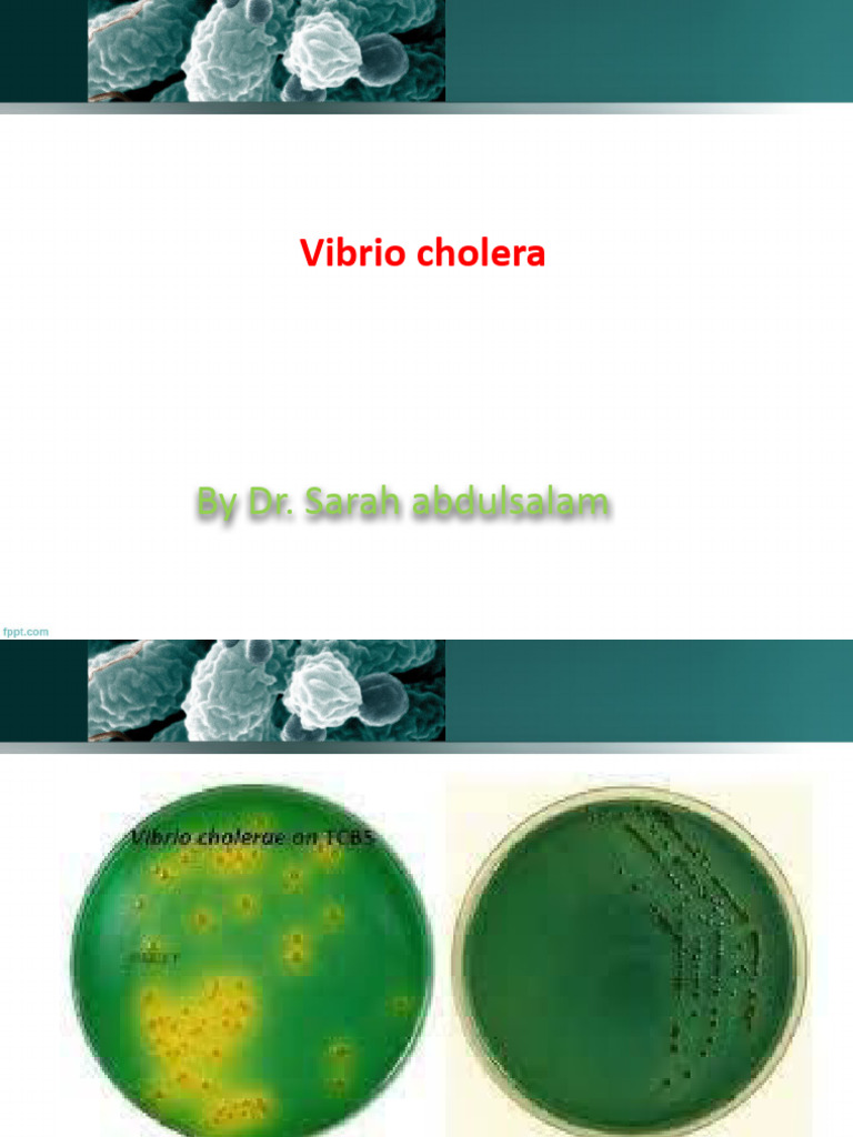 Lec7 Vibrio Cholera Theoretical Bacteriology Pdf