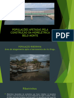 Populações Afetadas Pela Construção Da Hidrelétrica Belo Monte