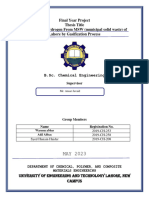 FYP Thesis