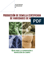 Produccion de Semillas Certificadas de Maiz