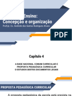 Prática de Ensino Concepção e Organização - UN4 - Vídeo 08