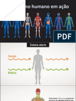 2 - Organismo Humano em Ação