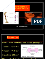 1 Eritropoyesis