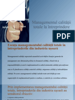 Managementul Calității Totale La Întreprindere