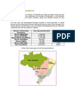 4 - Os Biomas Brasileiros