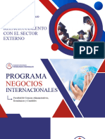 Pares Académicos Negocios Internacionales