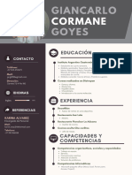 Curriculum CV Marketing Profesional Gris Oscuro   (1) (1)