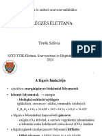 Legzes Elettana 2024