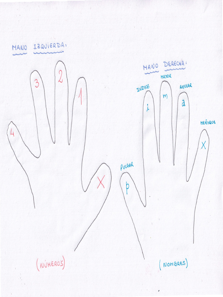 Nombre De Las Manos Pdf