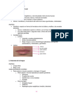 anatomia 5-6