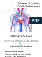 Aula 7- Sistema Circulatório.pptx