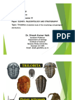 DKN 9 Trilobites