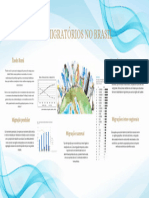 Fluxo Migratório