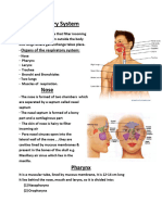 Respiratory System - PDF - 79624