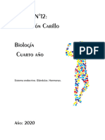 Sistema Endocrino Carillo 2020