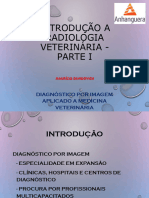 Slide Aula 1 - Introdução a Radiologia Veterinária - Parte I