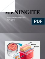 Meningite 1