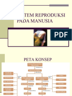 Reproduksi Pria