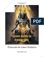 Protocolo Del Labor Holística