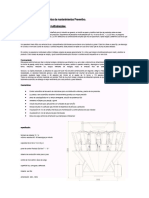 TP Pesadora Automatica1