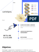2°Medio Cariotitpo y mutaciones (2)